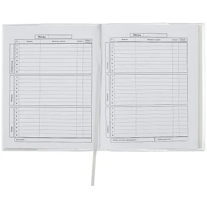 Дневник школьный Феникс+, "Глиттер серебряный" - фото 2