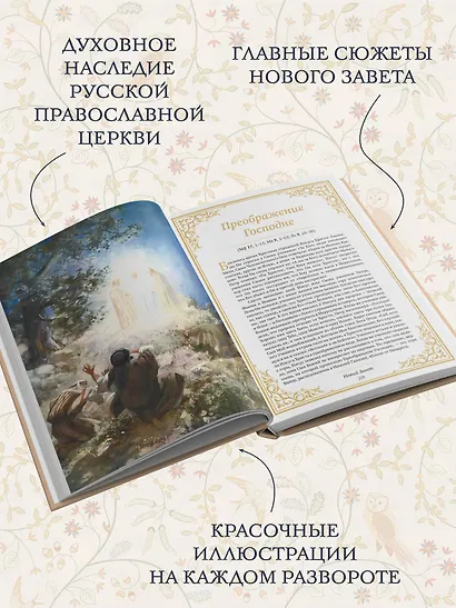 Святое Евангелие для начинающих - фото 5