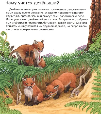 Мамы и малыши (с волшебными окошками) - фото 2