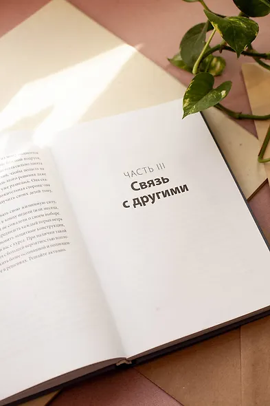 Больше силы в каждом дне. Источники жизненной силы для самого важного - фото 8
