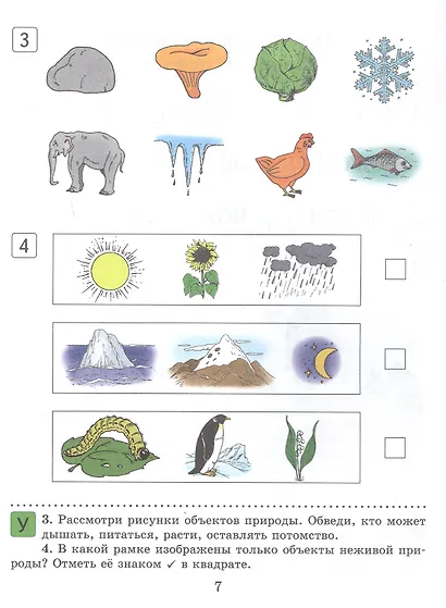 Человек и мир. 1 класс. Практикум - фото 4