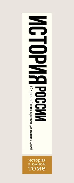 История России с древнейших времен до наших дней - фото 4