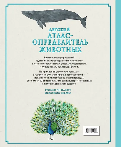 Детский атлас-определитель животных - фото 2