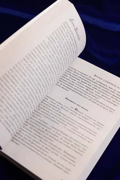 Время собирать камни - фото 11