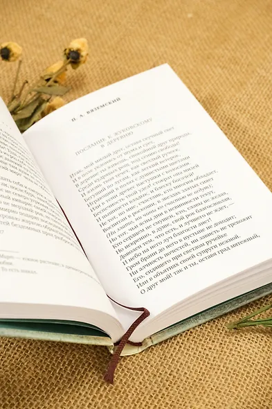 Золотой век русской поэзии - фото 10