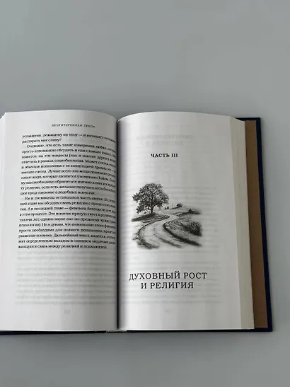 Непроторенная тропа. Новая психология любви и духовного развития - фото 13