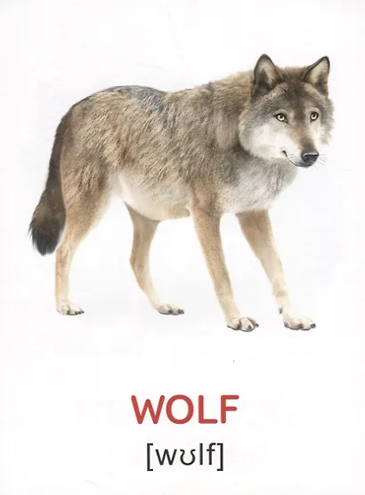 Набор обучающих книг по методике Г. Домана на английском языке (комплект из 8 книг) - фото 4