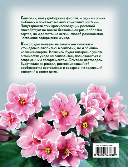 Сенполии - ваши любимые комнатные фиалки - фото 2