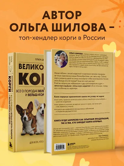 Великолепные корги. Все о породах вельш-корги-пемброк и вельш-корги-кардиган - фото 6