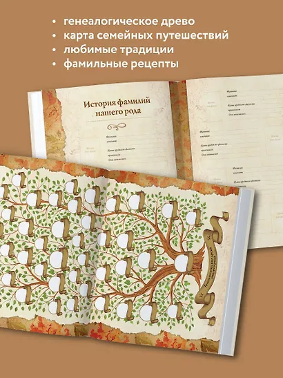 Родословная книга "Семейное древо" (слоновая кость) - фото 5
