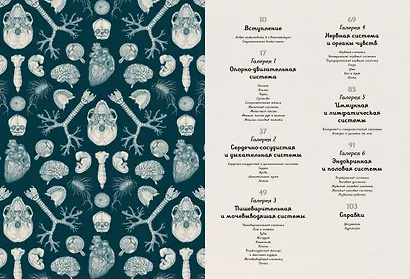 Анатомикум - фото 14