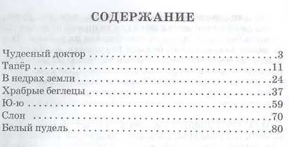 Чудесный доктор - фото 2