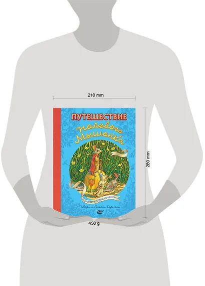 Путешествие полевого мышонка. Навстречу приключениям - фото 9