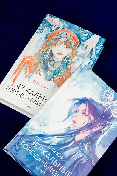 Зеркальные города-близнецы. Книга 2 - фото 11