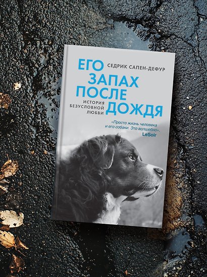 Его запах после дождя - фото 8