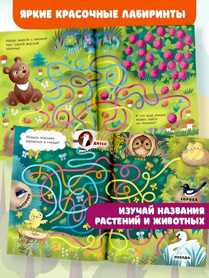 В лесу - фото 4