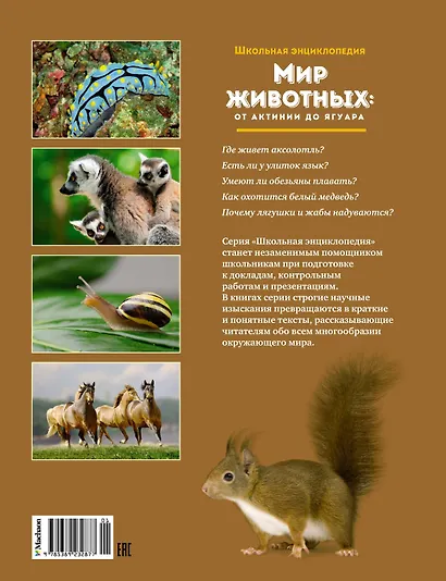 Мир животных: От актинии до ягуара - фото 2