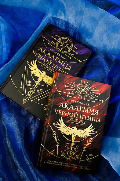 Академия Черной птицы. Бойся света - фото 7