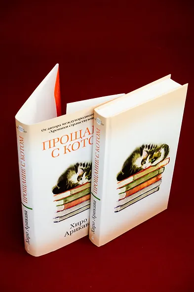 Прощание с котом - фото 14