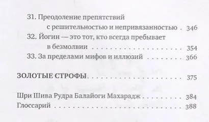 Высший путь.Беседы с Шри Шиварудрой Балайоги Махараджем - фото 4
