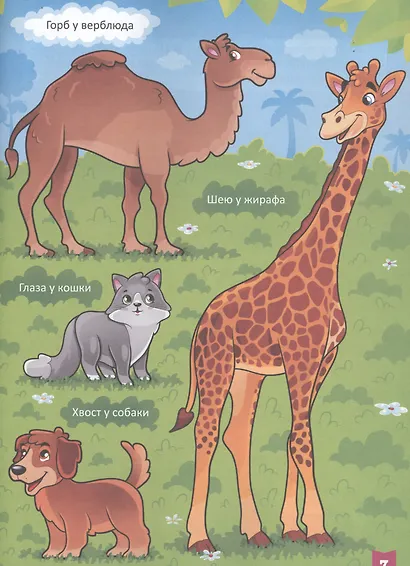 ТЕСТЫ ДЛЯ МАЛЫШЕЙ. 2-3 года - фото 4