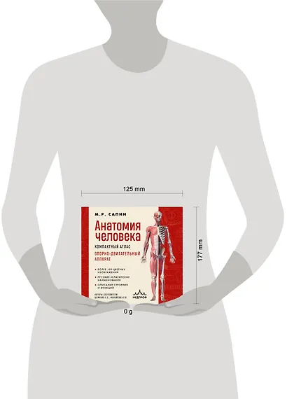Анатомия человека. Компактный атлас. Опорно-двигательный аппарат - фото 12