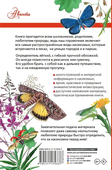 Насекомые России - фото 2