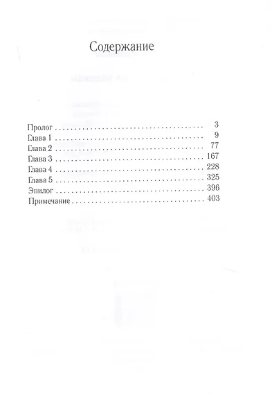 Наемник. Пламя надежды - фото 2
