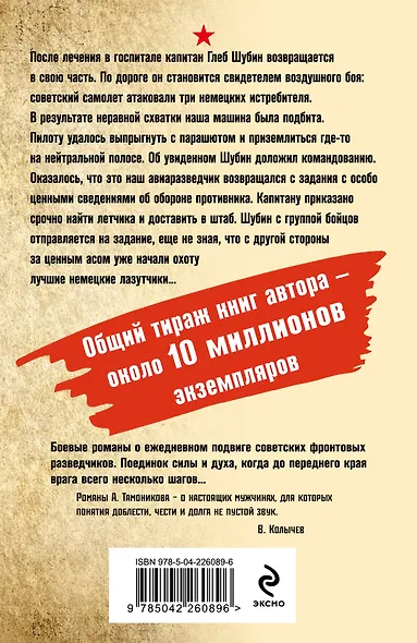 Тень немецких крыльев - фото 2