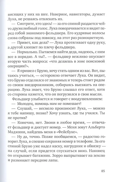 Зорро в снегу - фото 4