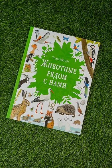 Животные рядом с нами - фото 7