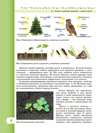 Биология. 5 класс. Учебник. Базовый уровень - фото 5
