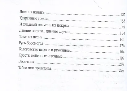 Записки русского охотника. Книга для тех, кто любит Родину - фото 4