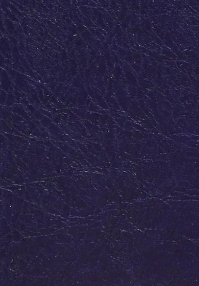 Бусидо. Кодекс чести самурая - фото 2