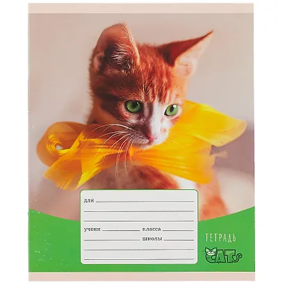 Тетрадь в клетку Listoff, "Игривые котята", 12 листов, в ассортименте - фото 6