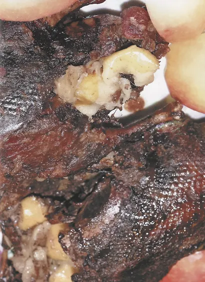 Охотничья кулинария. Рецепты жены охотника - фото 7