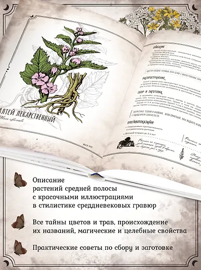 Тайны и магия растений. Путеводитель по миру трав и деревьев - фото 5