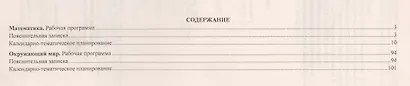 Математика. Окружающий мир. 4 класс. Рабочие программы по учебникам Н.Б. Истоминой, О.Т. Поглазовой. ФГОС - фото 2