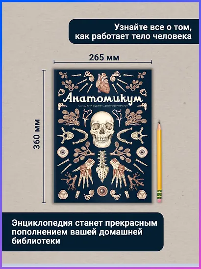 Анатомикум - фото 6