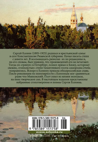 Исповедь хулигана - фото 2