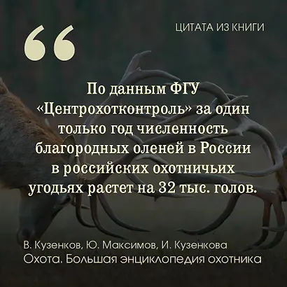Охота. Большая энциклопедия. 17 диких зверей - фото 5