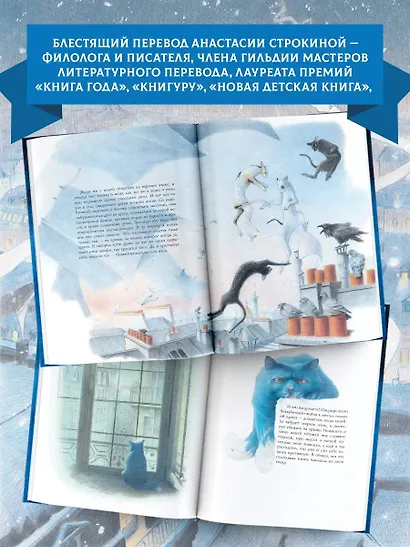 Кошачий рай - фото 7