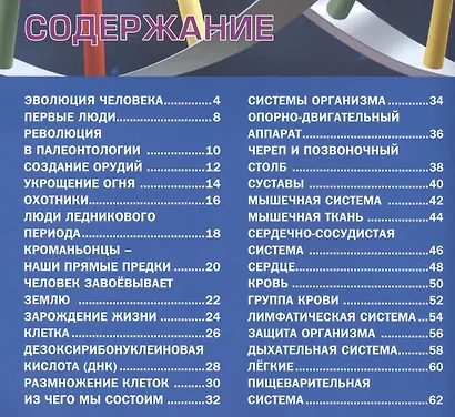 Детям о теле человека. Иллюстрированная энциклопедия - фото 2