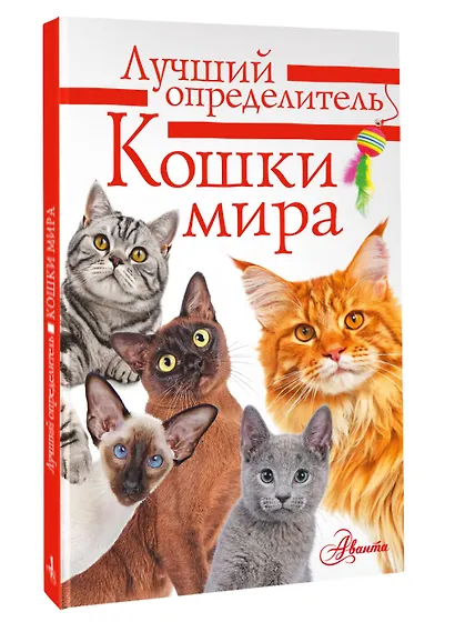 Литература с видео-уроками - фото 3
