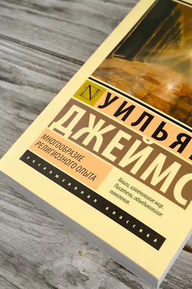 Многообразие религиозного опыта - фото 6