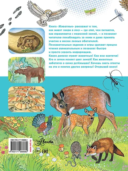 Животные - фото 2