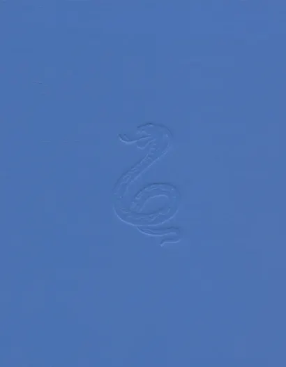 Пропавший дипломат - фото 6