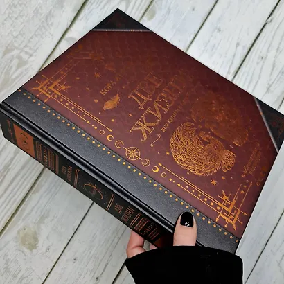 Две жизни. Все книги в одной. В обновленной редакции - фото 7