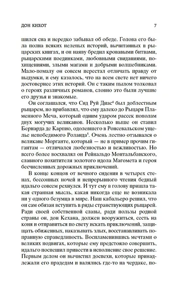 Дон Кихот - фото 10