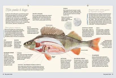 Муми-тролли на рыбалке - фото 6